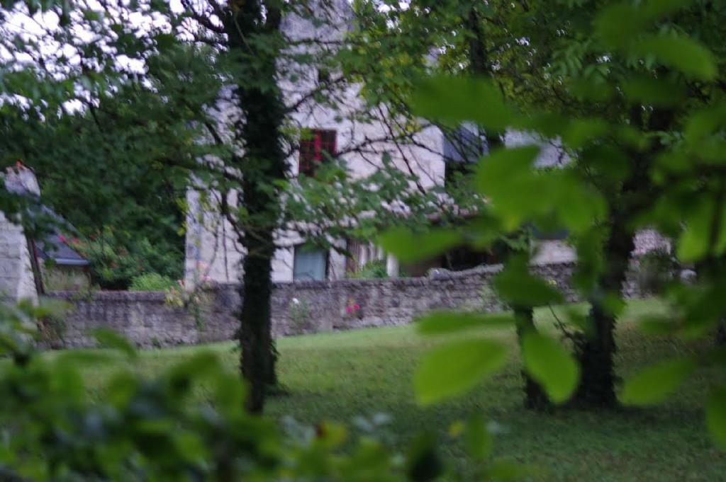 Bed and Breakfast Le Logis Du Peu Girard La Roche-Clermault Екстер'єр фото